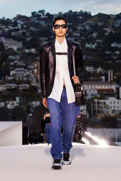 Look 29